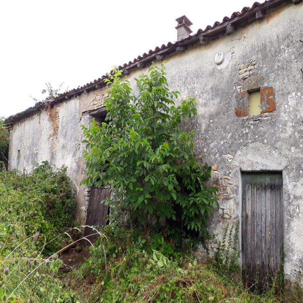 Offres de vente Maison Vanzay 79120