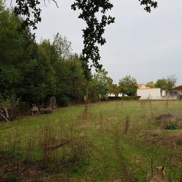 Offres de vente Terrain Rouillé 86480